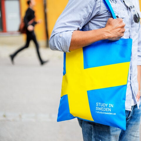 Study in Sweden Bag