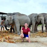 Volunteer With Elephants in Thailand