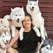 Will and a bunch of huskies
