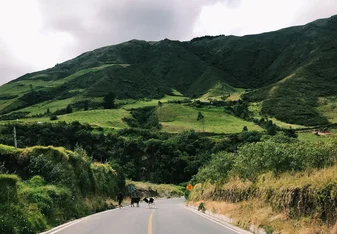 Road through the mountains in Ecuador